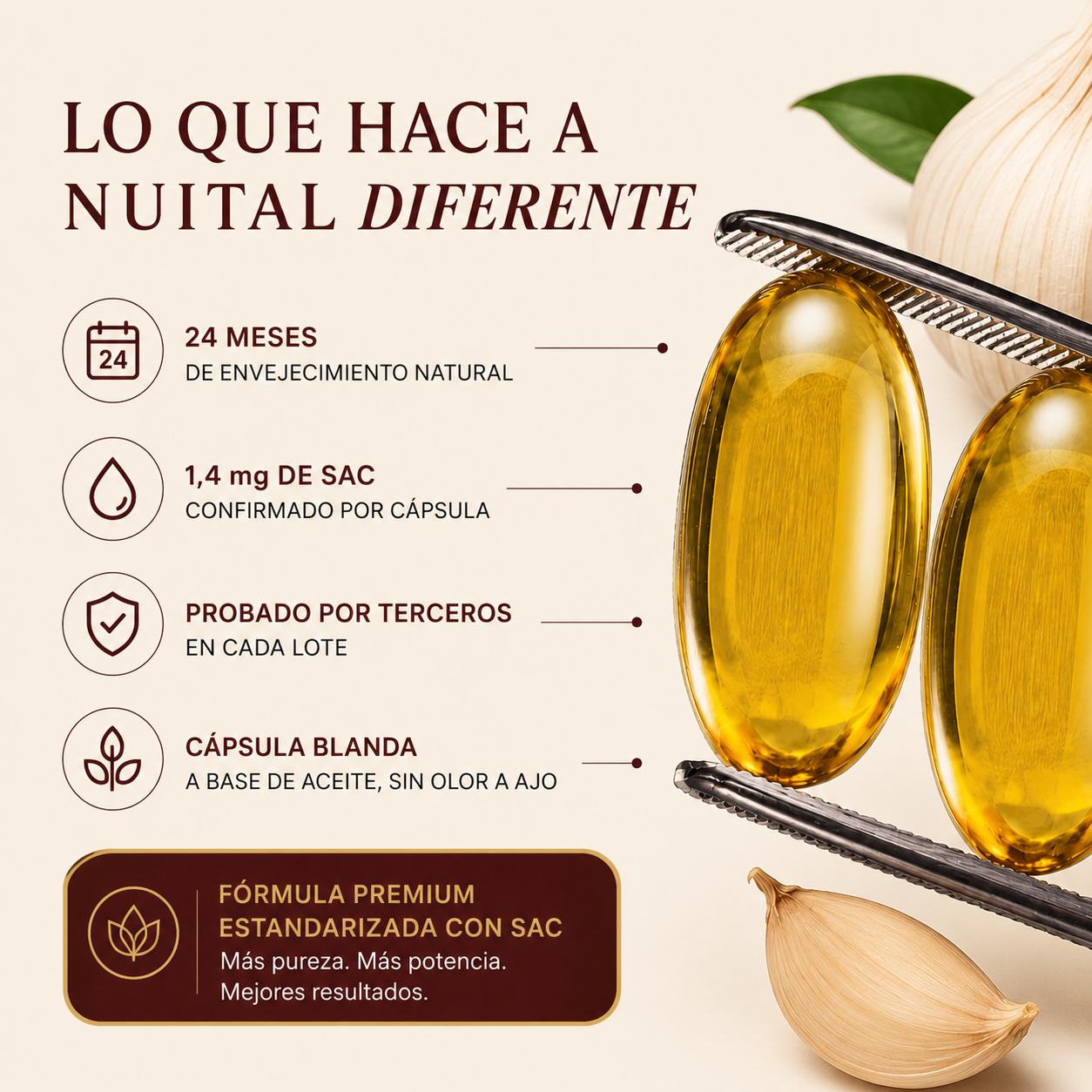 Nuital ™ | Extracto de ajo envejecido : reduce la presión arterial de forma natural.