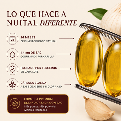Nuital ™ | Extracto de ajo envejecido : reduce la presión arterial de forma natural.
